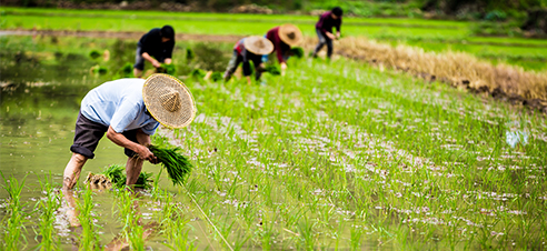 食材配送 食材配送