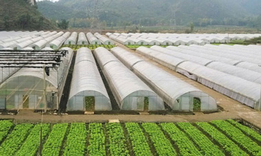 ���ع���